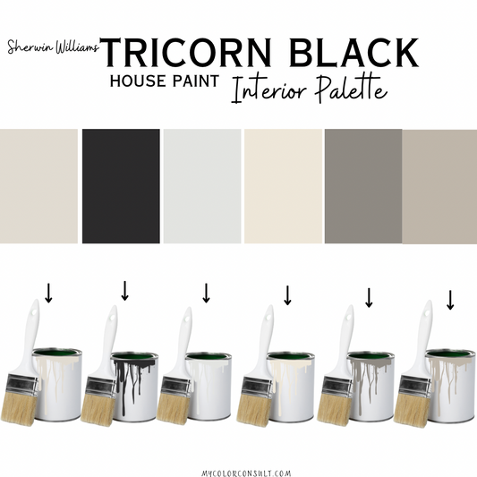 Sherwin Williams Tricorn Black coordinating Whole interior House Paint Color